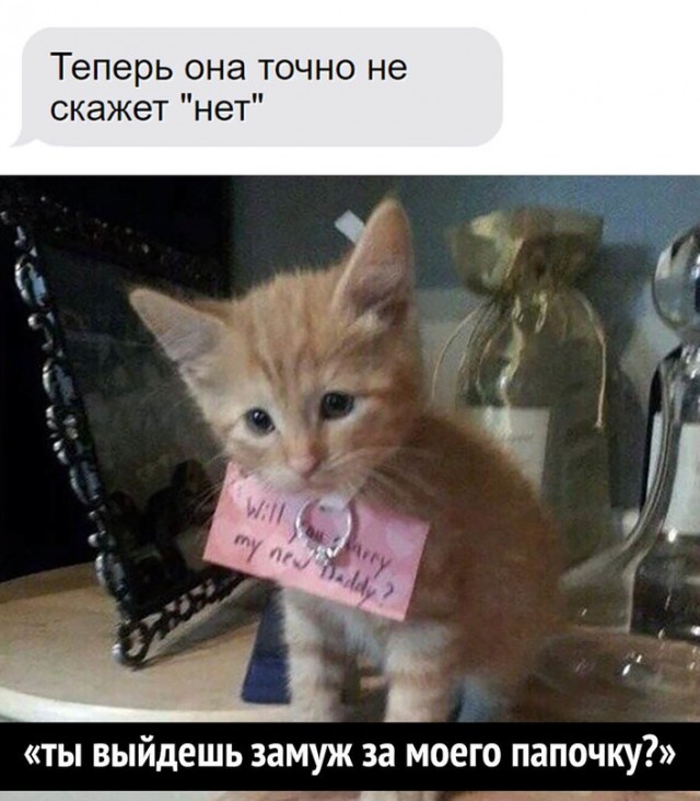 Картинки и мемы для настроения - 107