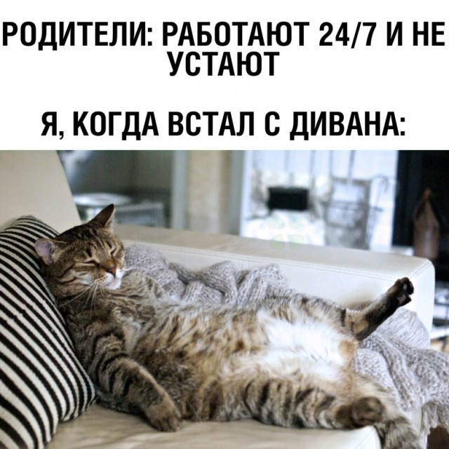 Немного картинок для настроения - 131