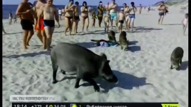 Где-то в штатах