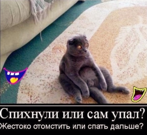 Юмор в картинках и без