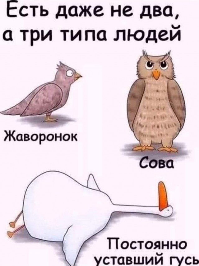 Немного картинок для настроения - 139