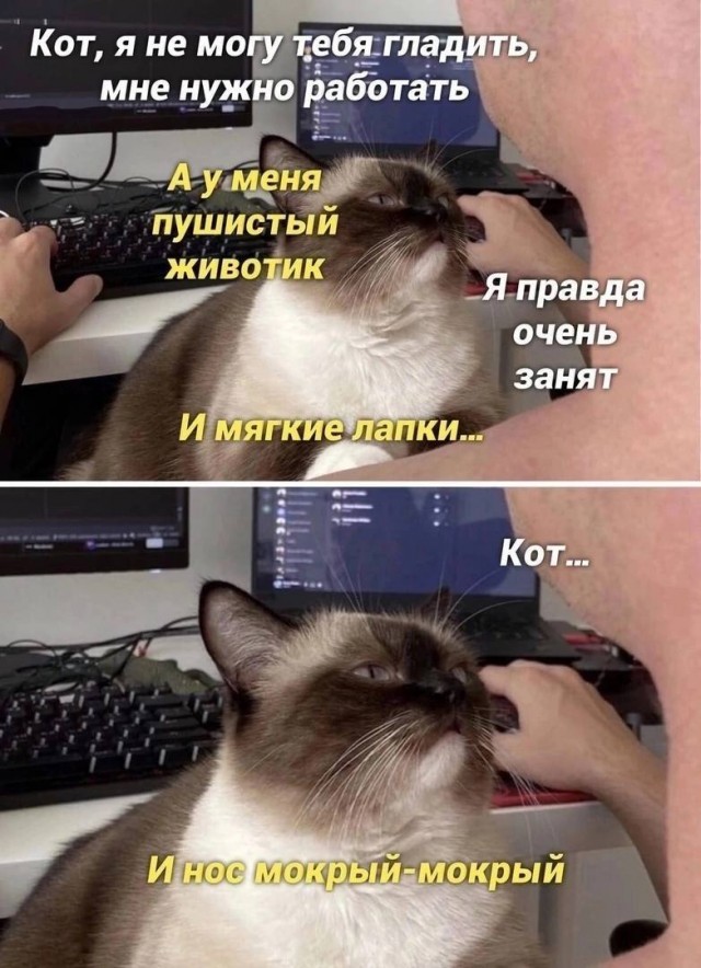 Немного картинок для настроения - 165