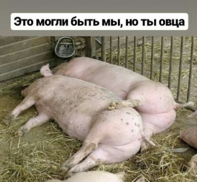 Совпадение?
