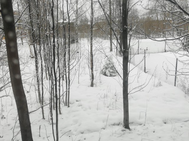 Вредная первая помощь или готовимся к шашлыкам...