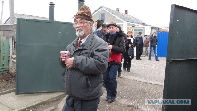 Крым в феврале или "Не стреляйте в белых лебедей!"