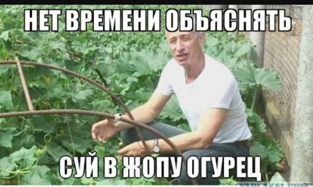 На нашего Буншу похож.