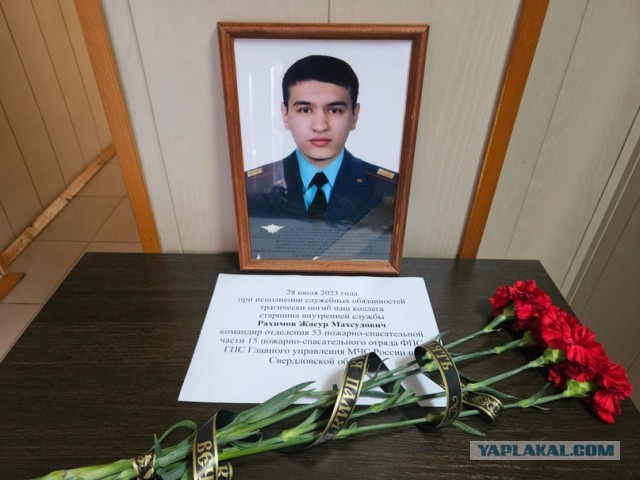 Пожарный из Свердловской области погиб, пытаясь снять кошку со столба