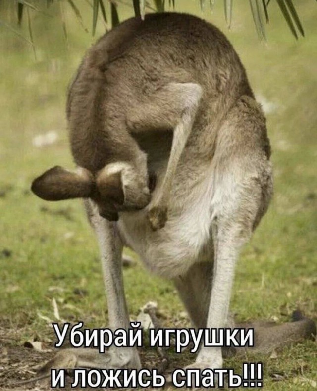 Народная меДИЧина 1012