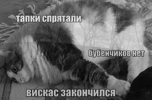 Баяны и не совсем. Понедельничное