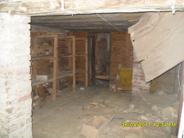 Чернобыль 2011