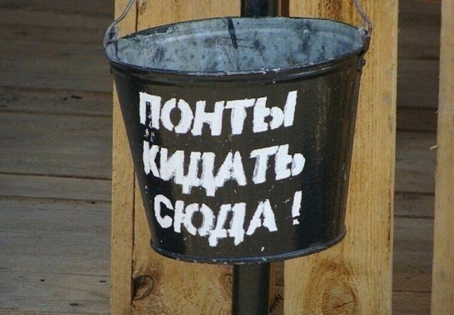 Ахмат, Эли и Адам Кадыровы награждены орденом «Даймехкан Сий»