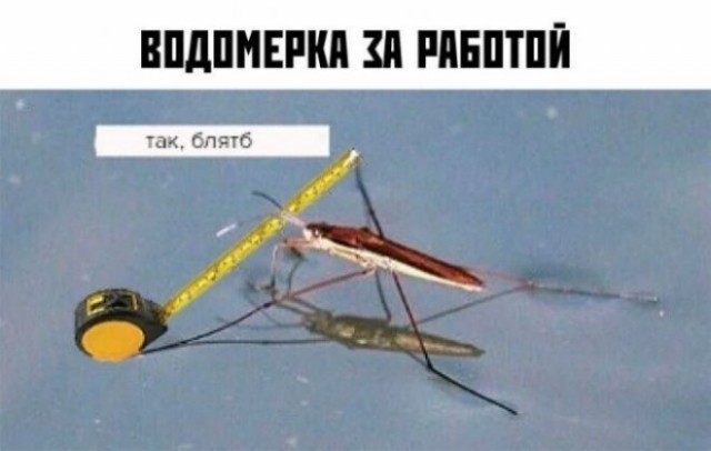 Приколы с налетом деградации