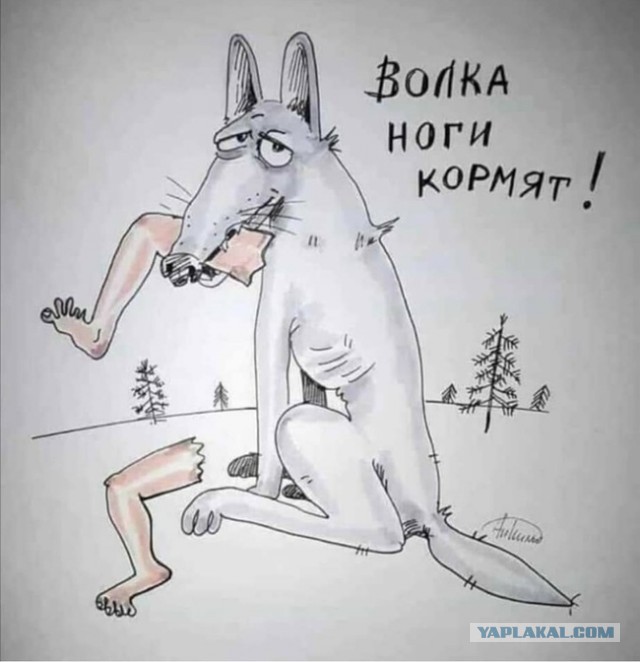 Погоня за зайцем, снятая с коптера - 2