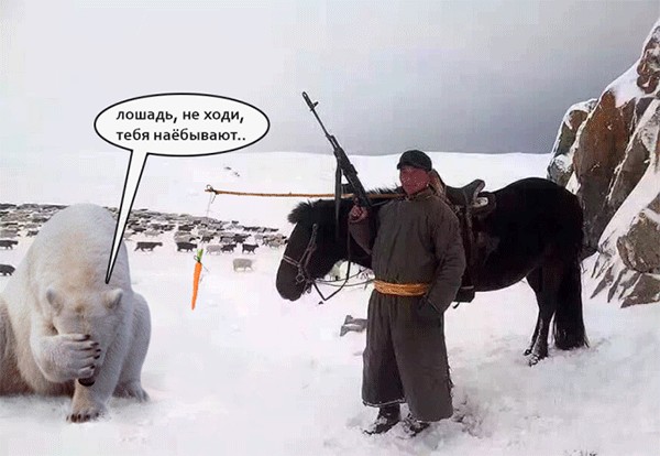 Так себе картинки 27.03.24