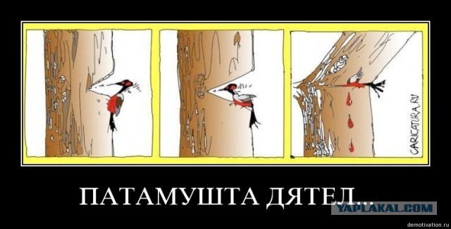Крым. Август 2024.