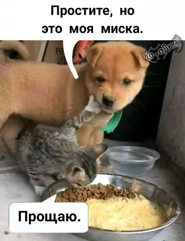 Завалялось тут случайно немного забавных картинок
