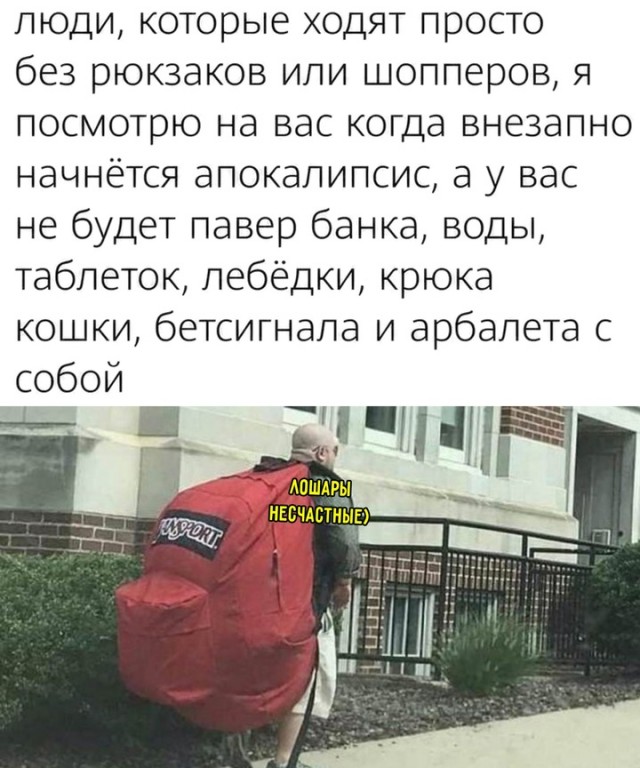 Весёлый полтишок 11.11.24