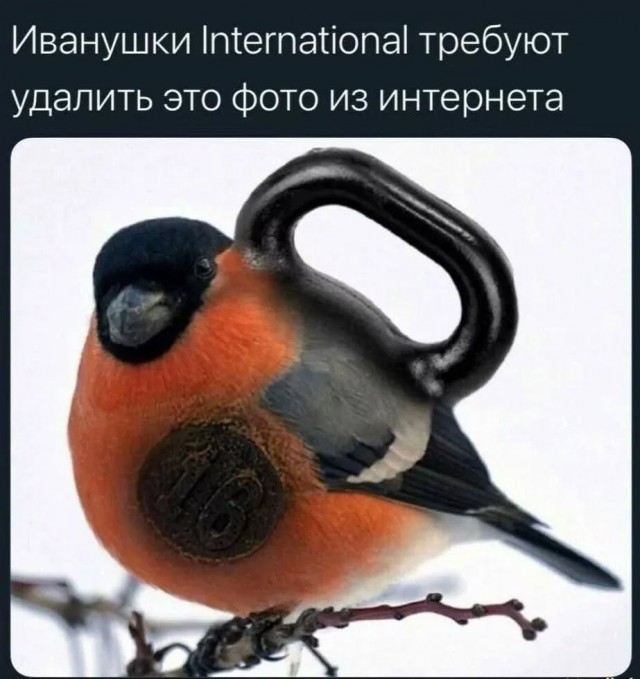 Завалялось тут случайно немного забавных картинок