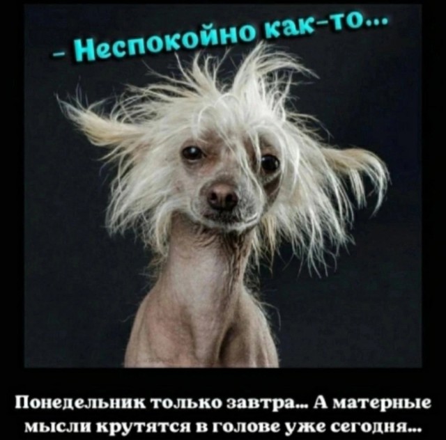 Так себе картинки 08.12.24