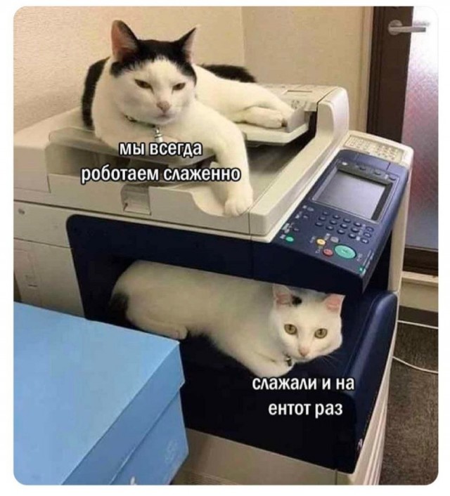 Сброс балласта. Картинки