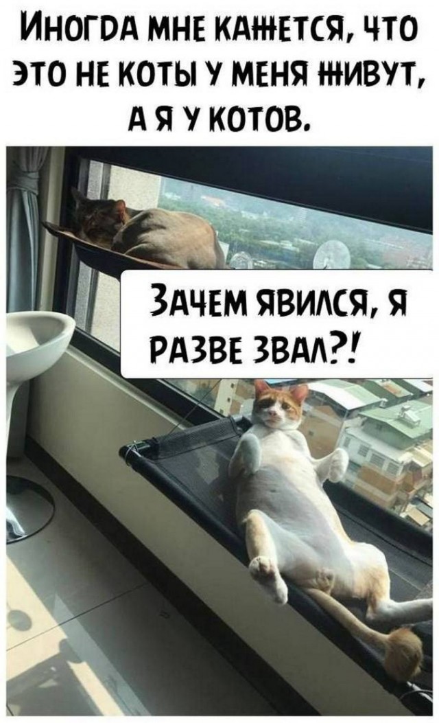 Картинки разные с надписями и без