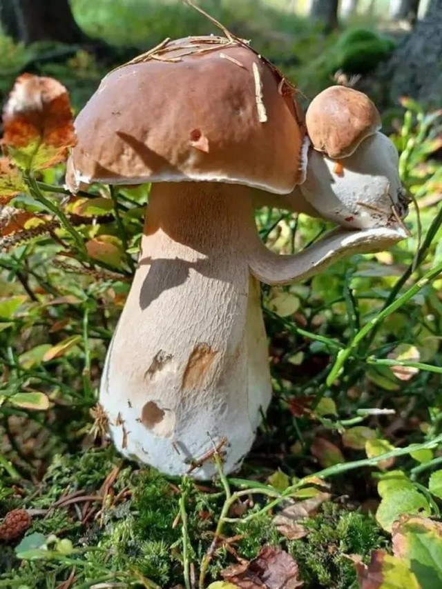 Прикольные и просто красивые картинки 04.04.2025