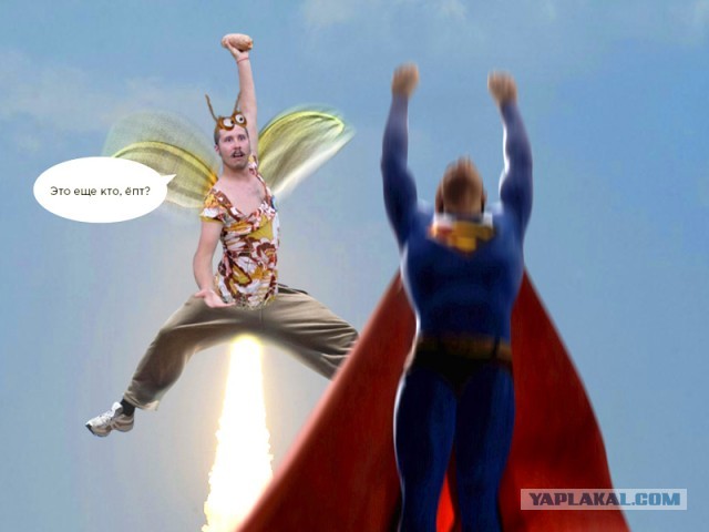 Мой друг нашел картошку!