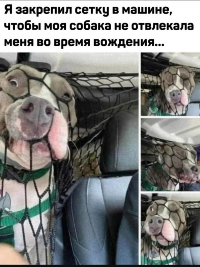 Завалялось тут случайно немного забавных картинок