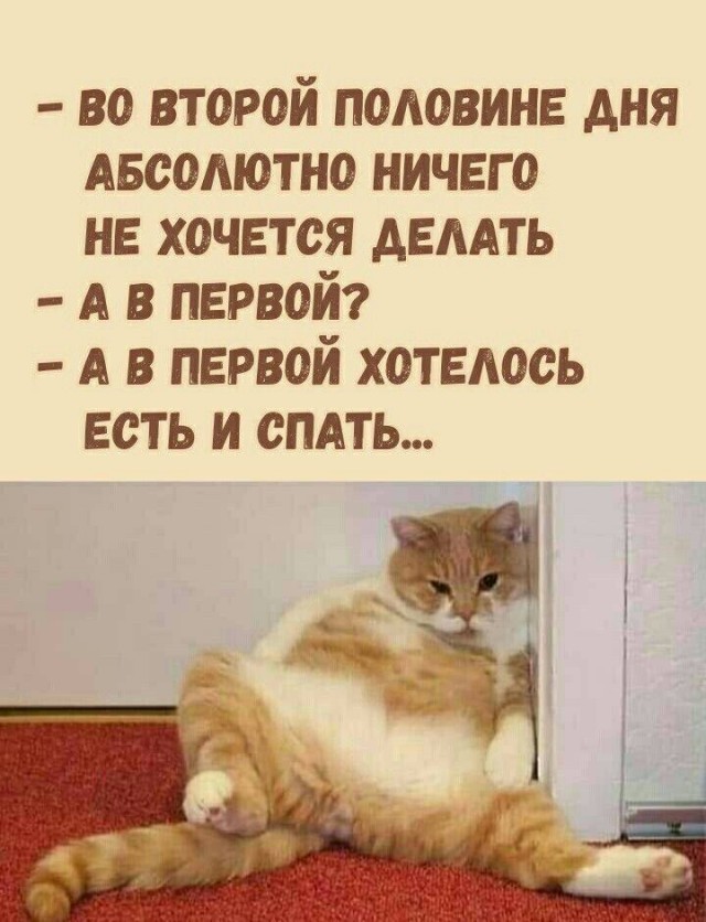 Кошачьи смешинки