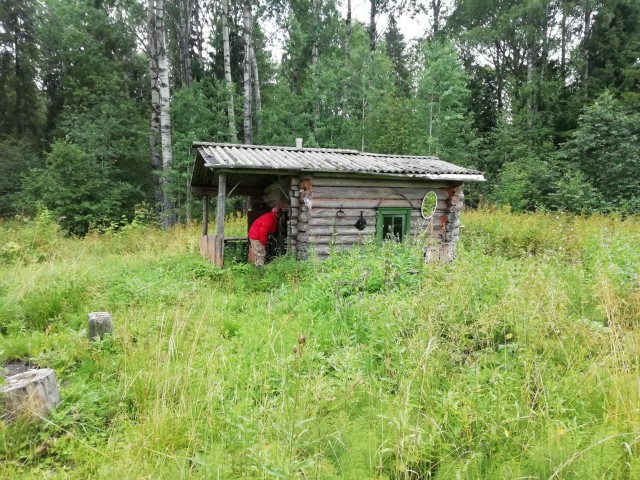 В Сети вирусится необычная находка — одинокая хижина, затерянная посреди огромного леса площадью 30 квадратных километров