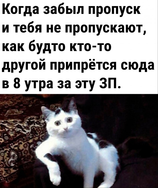 Картинки для деградации 22 ( разной степени свежести)