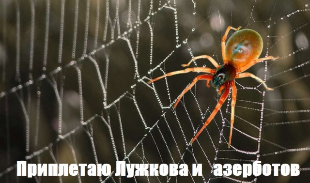 Москвичи
