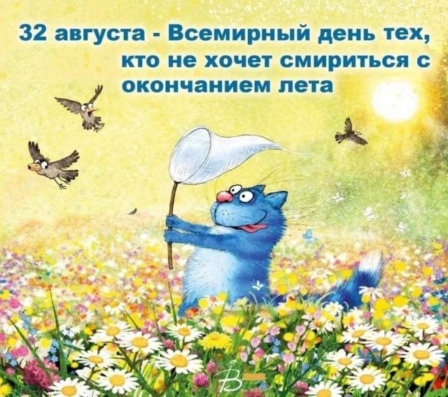 Так себе картинки 01.09.25