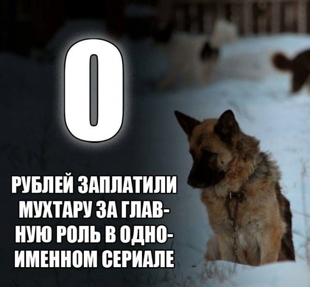Веселое настроение в картинках