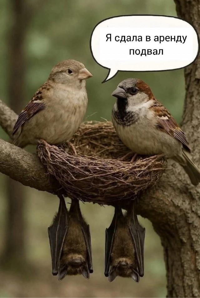 Пятничная сборка