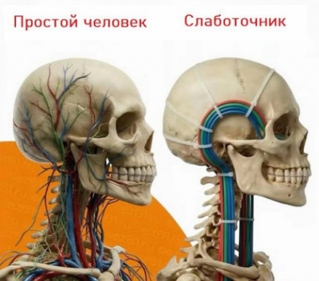 Веселые картинки в пятницу (12.12)