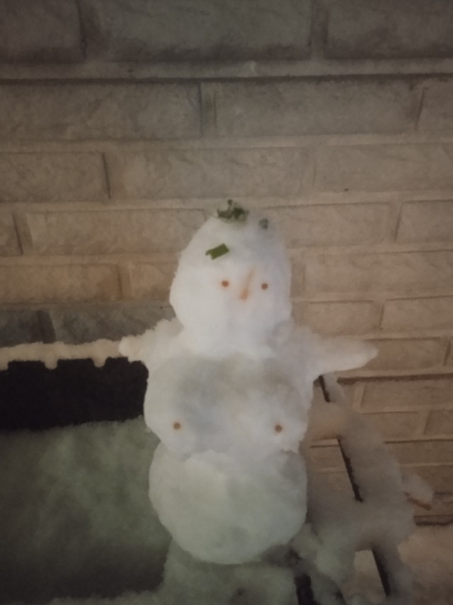 Лучший снеговик