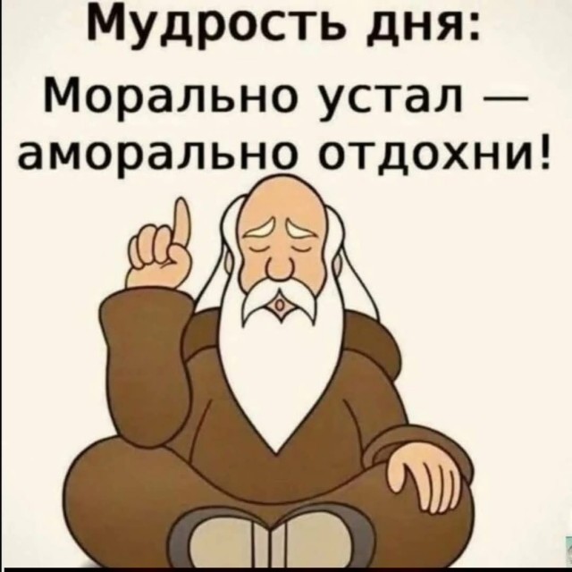 Веселых картинок вам в ленту