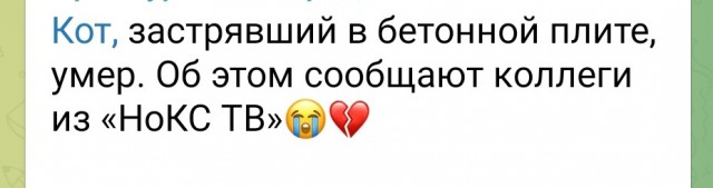 Скорбные вести в городском канале