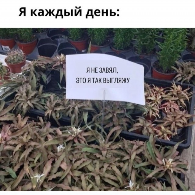 Еб@йшая еб@нин@