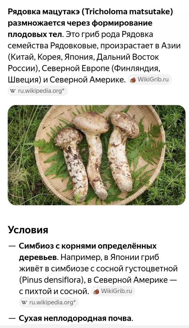 Насобирал грибочков..