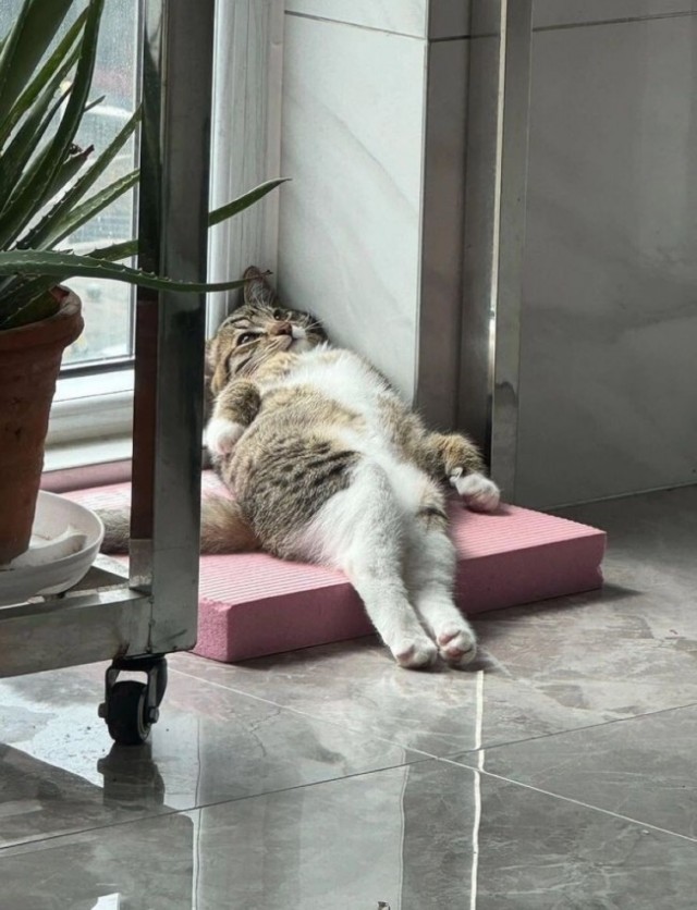 Картиночки на 18.02.2026