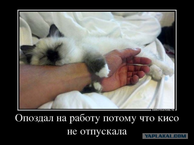 Вставай на работу пора!
