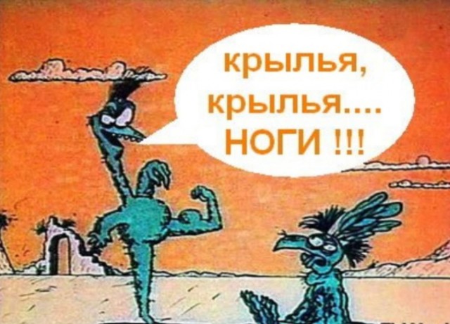 Козочка - варикозочка