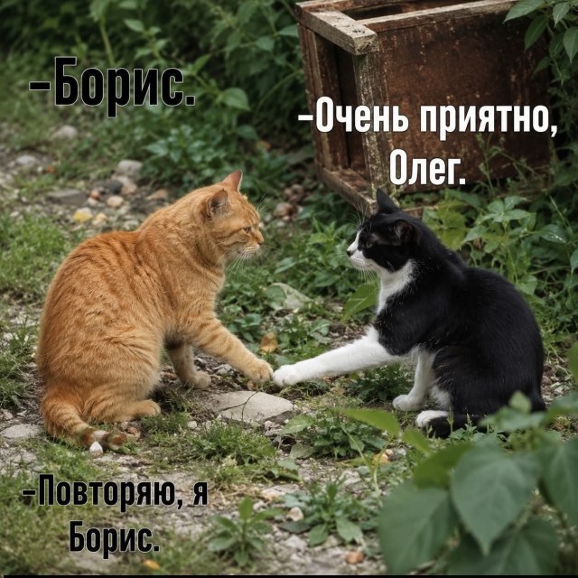 Картинки для деградации 212 (разной степени свежести)