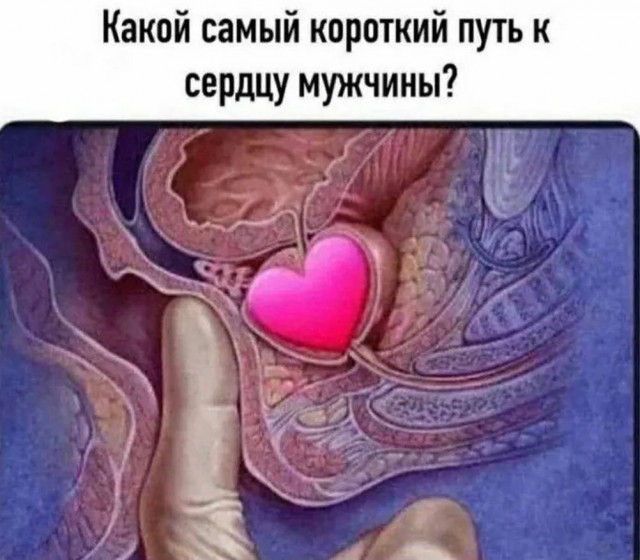 Веселые картинки в маленькую пятницу (08.07)