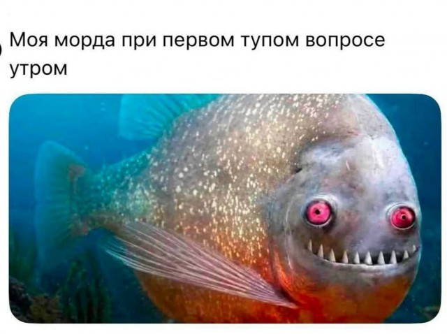 Картинки для деградации 259 (разной степени свежести)
