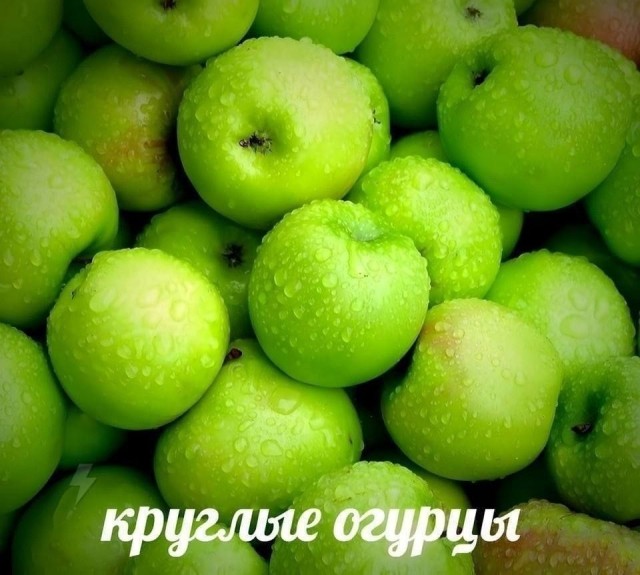 Картинки для деградации 274 (разной степени свежести)