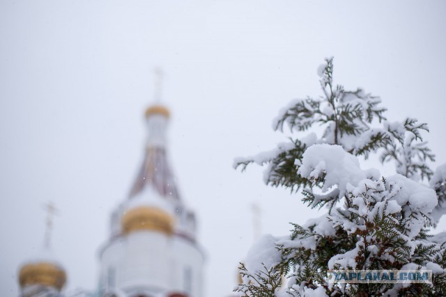 Деревенская Америка