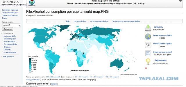 Аэропорты Крыма заблокированы российскими военными